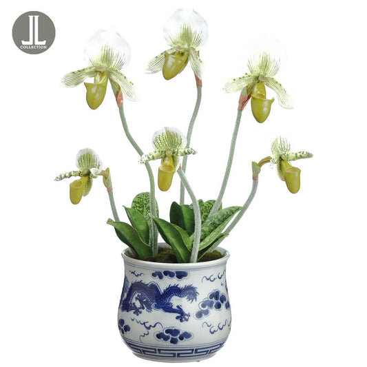 Ceramic Vase Green - 18in Lady's Slipper Orchid Plant