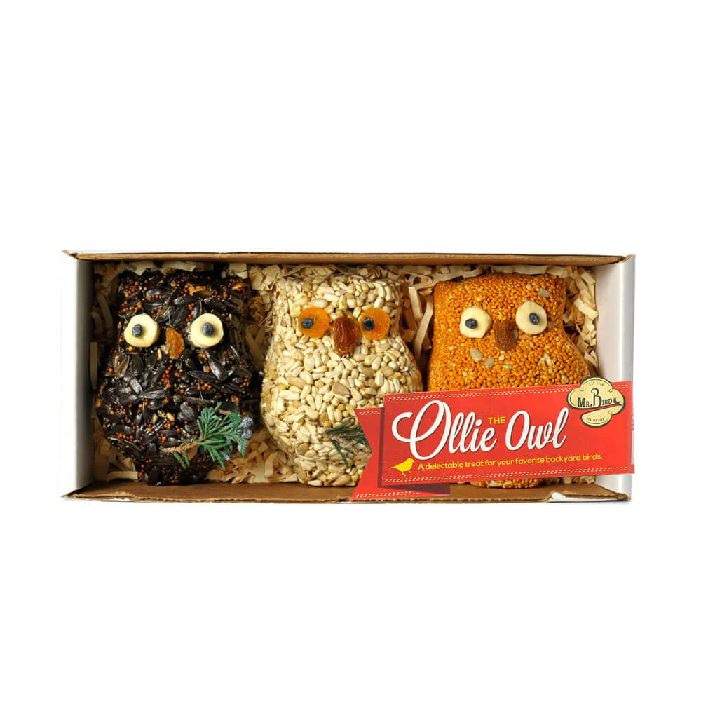 Mr. Bird - Ollie the Owl – 3 Pack - Findlay Rowe Designs