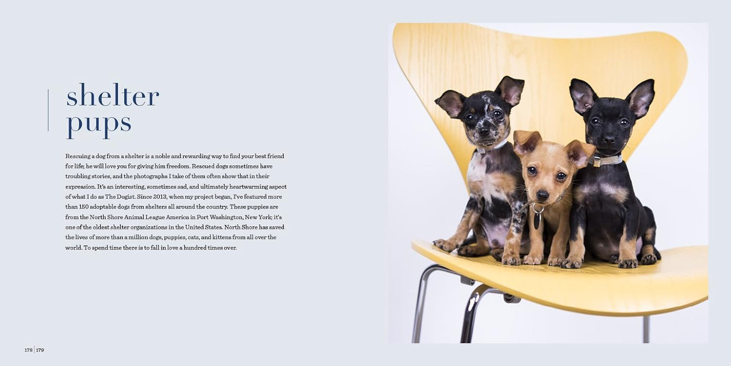 The Dogist Puppies - Findlay Rowe Designs