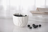 Pampa Bay - Snack Bowl - Mascali Bianca - Findlay Rowe Designs