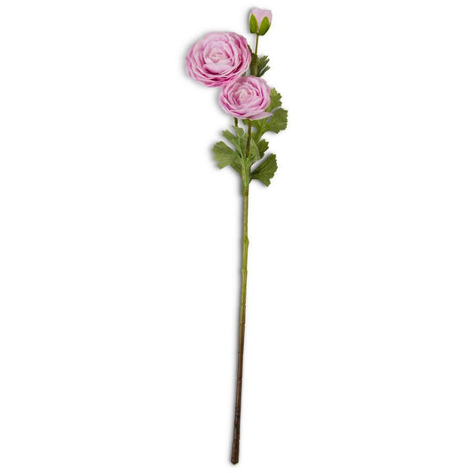 Ranunculus Stem - 25 Inch Pink Real Touch Triple Bloom