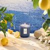 Voluspa - Classic Candle - Mediterranean Lemon