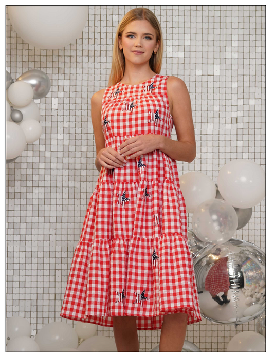 Dress - Red Gingham Check Star - Findlay Rowe Designs