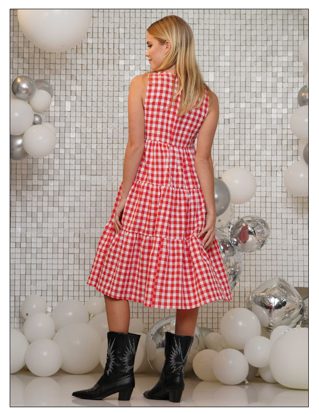 Dress - Gingham Check Stars - Red - Findlay Rowe Designs