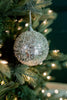 Ornament - 4in Iced Metallic Champagne Ball