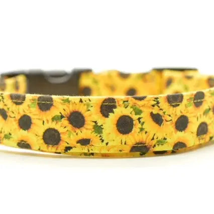 Dog Collar - Sunflower