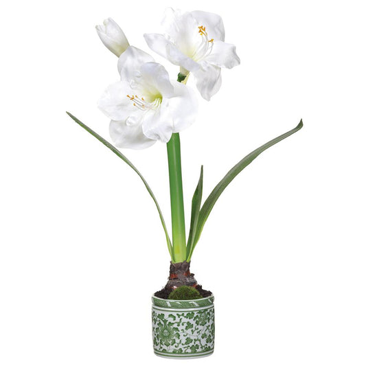 Ceramic Green Vase - Amaryllis 20in - White