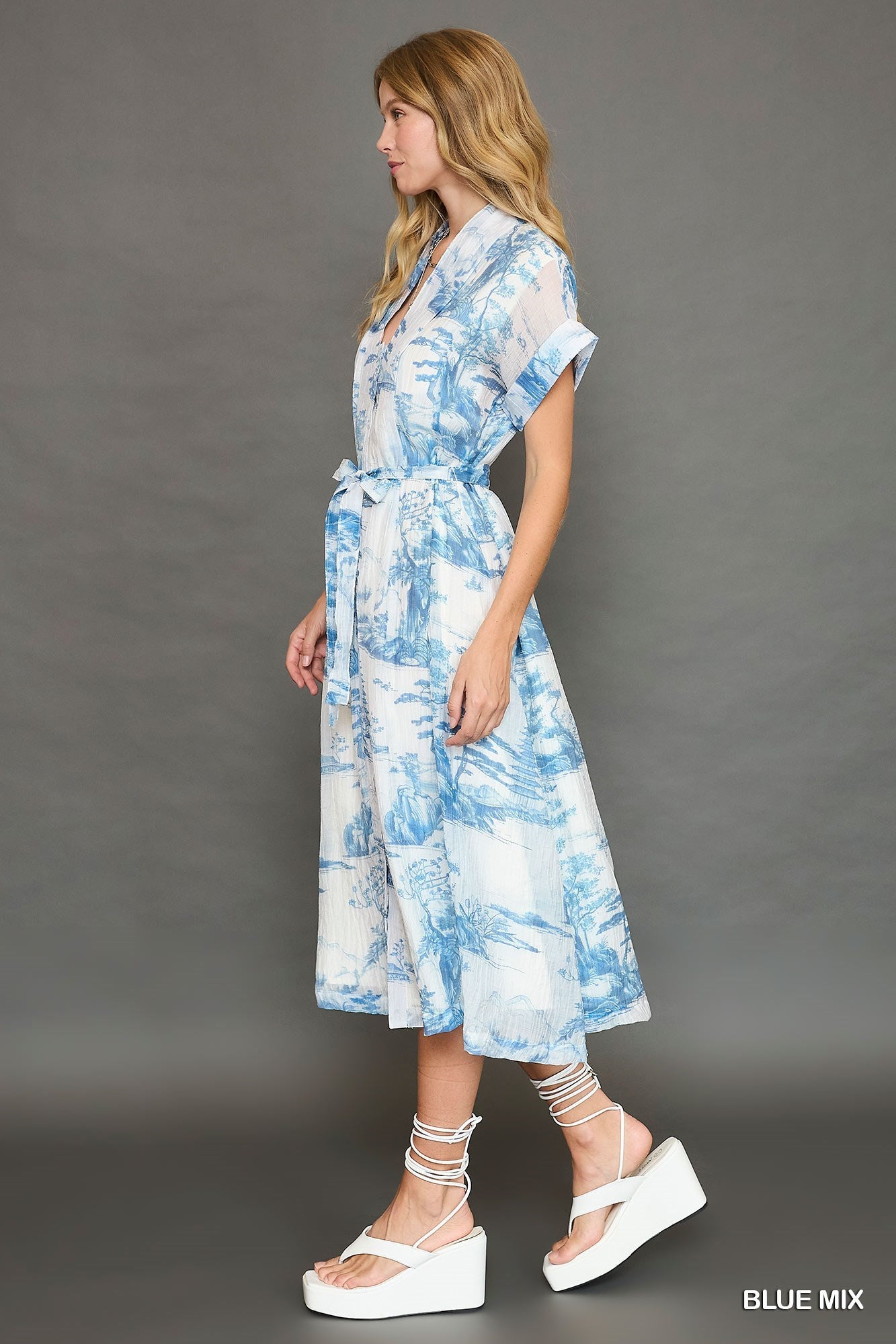 Dress - Toile Print Midi - Blue