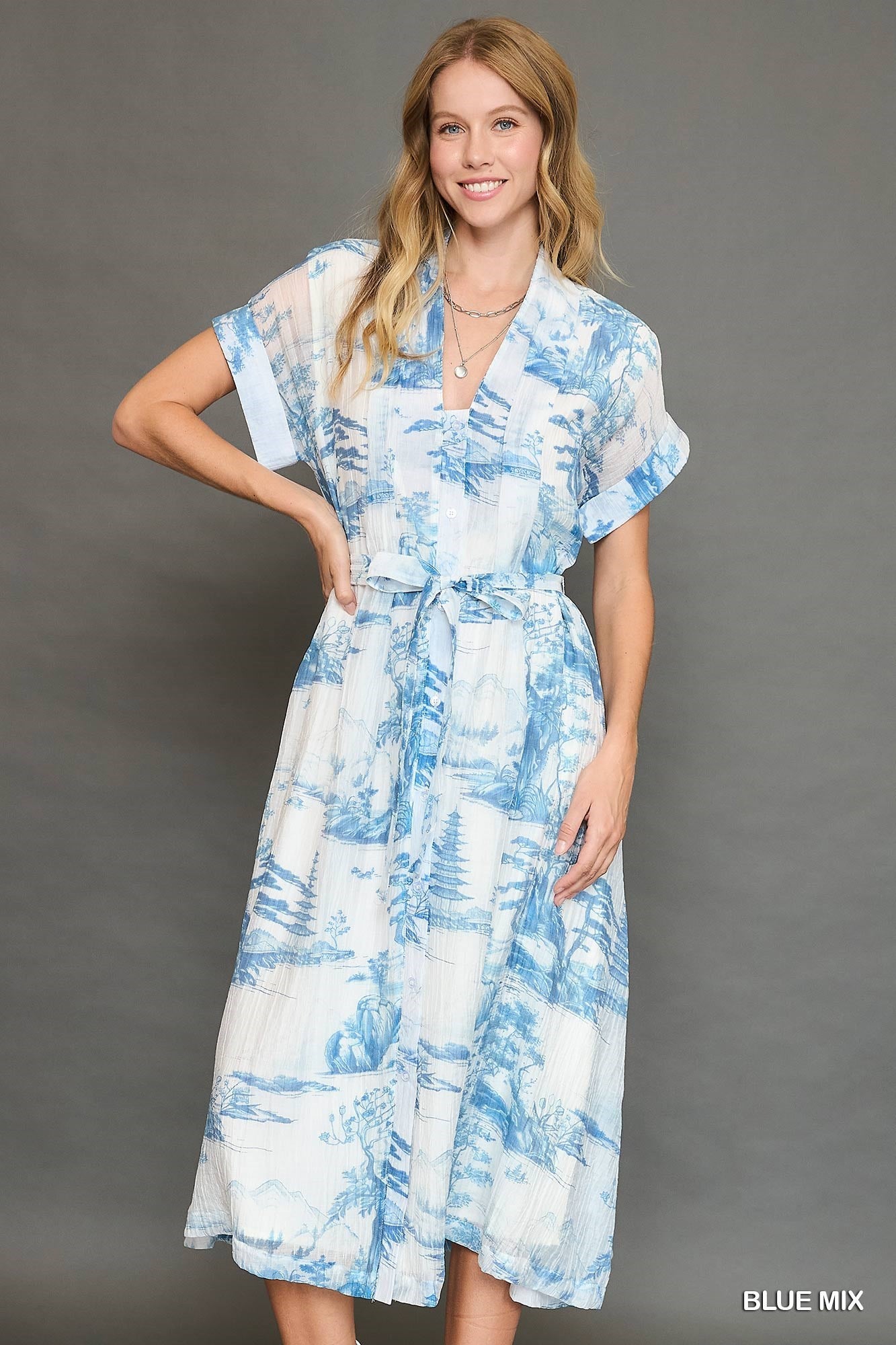 Dress - Toile Print Midi - Blue