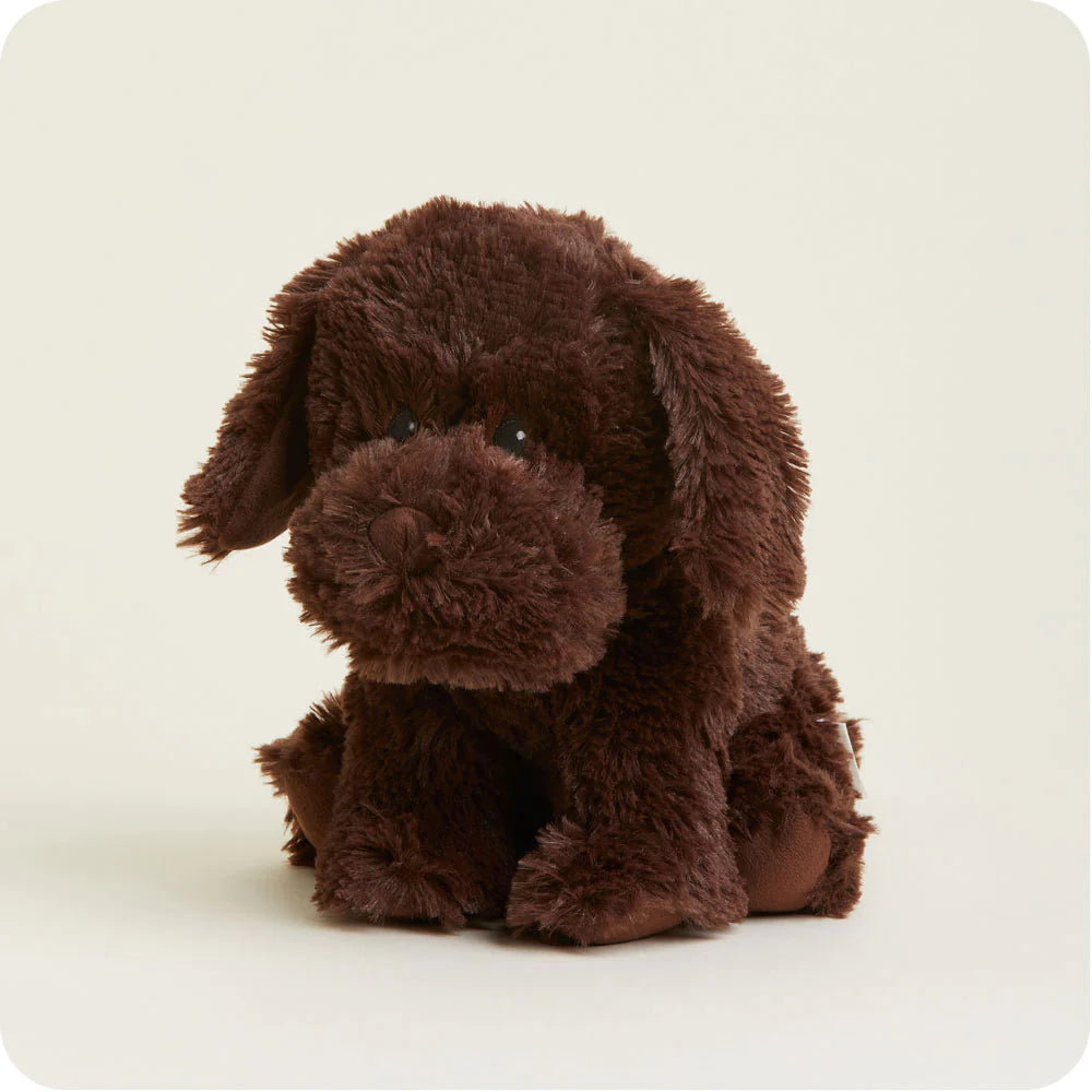 Warmies - Chocolate Labrador - Findlay Rowe Designs