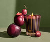 NEST - Classic Candle 8.1 oz - Autumn Plum - Findlay Rowe Designs