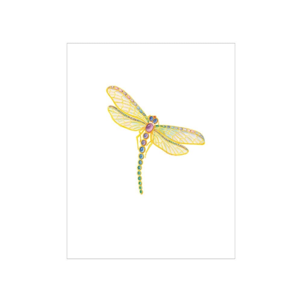 Caspari- Dragonfly Gift Enclosure Cards - Findlay Rowe Designs