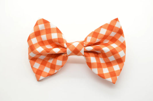 Dog Collar Accessory - Gingham Check - Orange - Findlay Rowe Designs