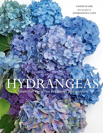 Hydrangeas: Beautiful Varieties for Home and Garden - Findlay Rowe Designs