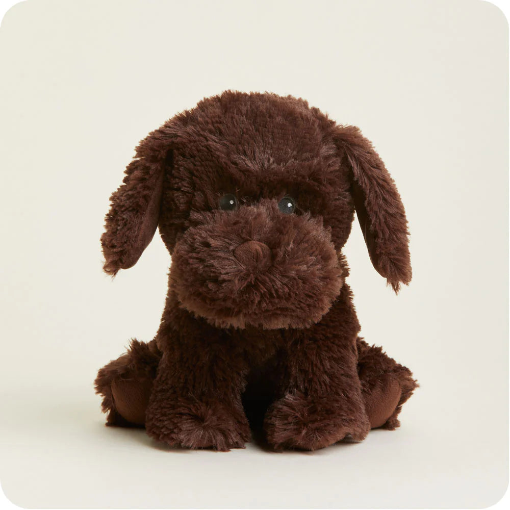 Warmies - Chocolate Labrador - Findlay Rowe Designs