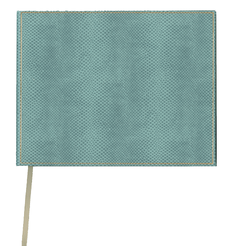 Caspari - Snakeskin Guest Book - Mist - Findlay Rowe Designs