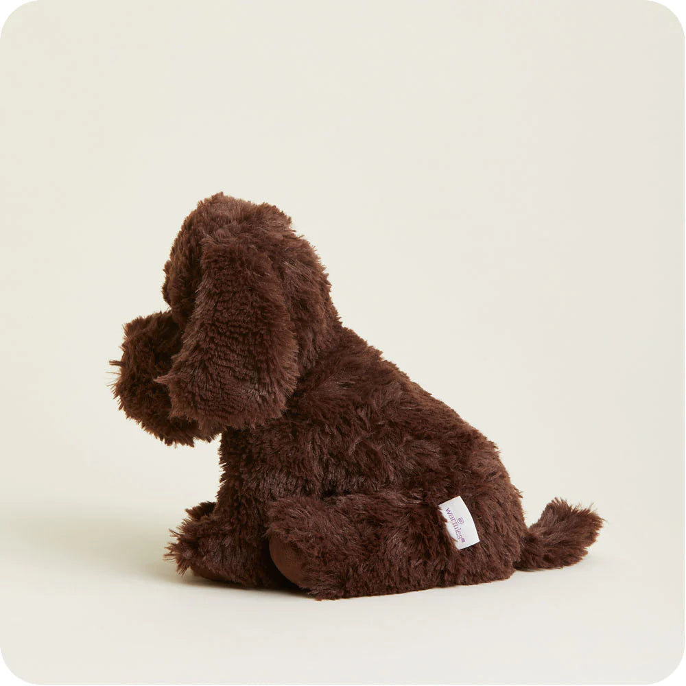 Warmies - Chocolate Labrador - Findlay Rowe Designs