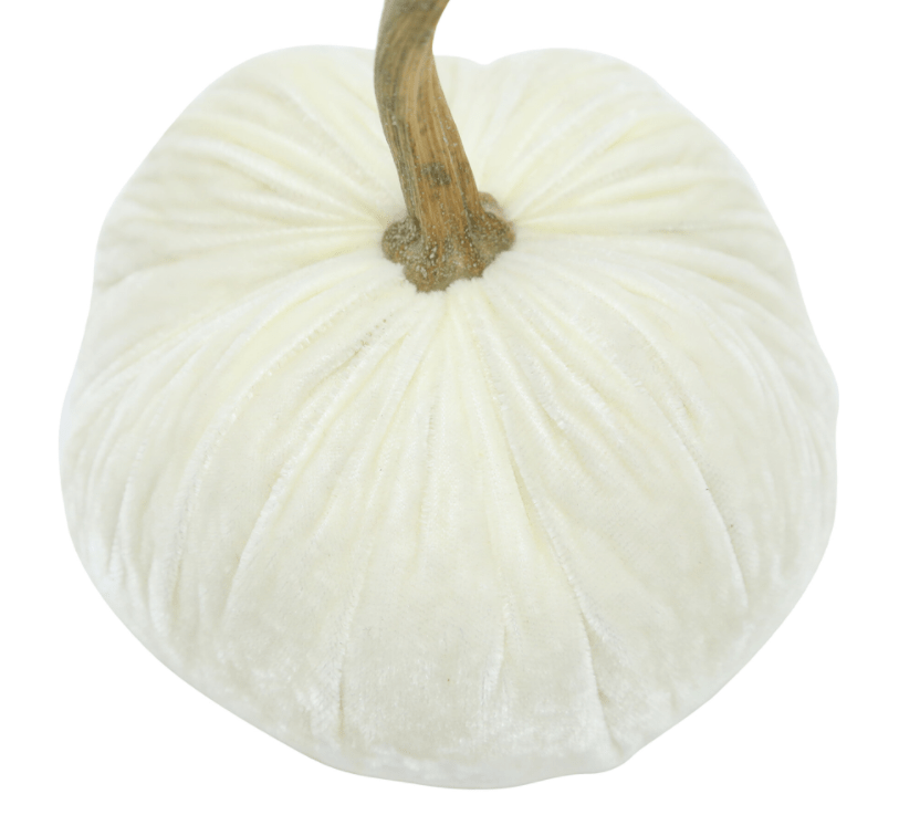 HOT SKWASH PUMPKIN - IVORY - Findlay Rowe Designs