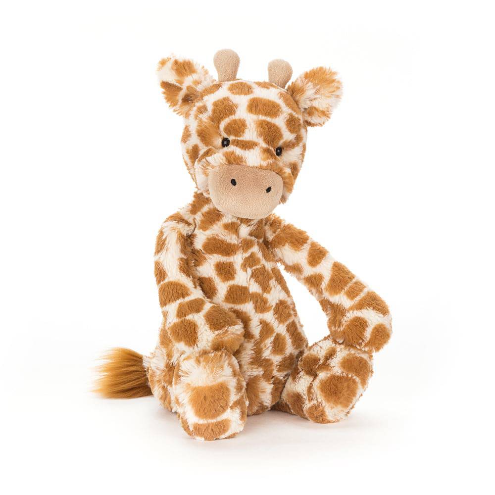 Jellycat - Bashful Giraffe - Medium - Findlay Rowe Designs