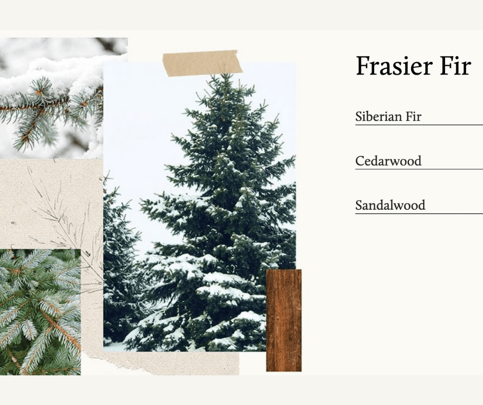 Frasier Fir 12 inch Taper Candle Set - Findlay Rowe Designs