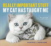 REALLY IMPORTANT STUFF MY CAT HAS TAUGHT ME - Findlay Rowe Designs